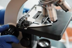 microscope