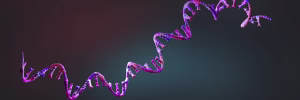 First mRNA flu shot approved by FDA bodes well for improving drugs of the future – though a few hurdles remain before mRNA can move beyond vaccines
