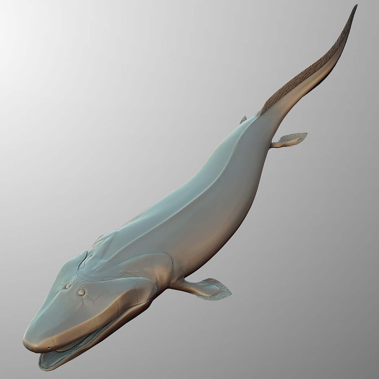 Reconstruction of Tiktaalik roseae