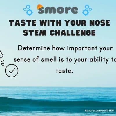 STEM challenge- slide-Julie (1100 × 850 px) (3) Taste with your nose stem challenge